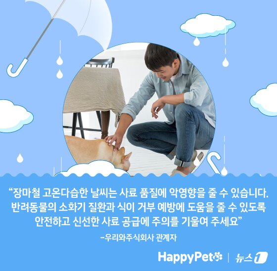 본문 이미지 - ⓒ News1 김지영 디자이너