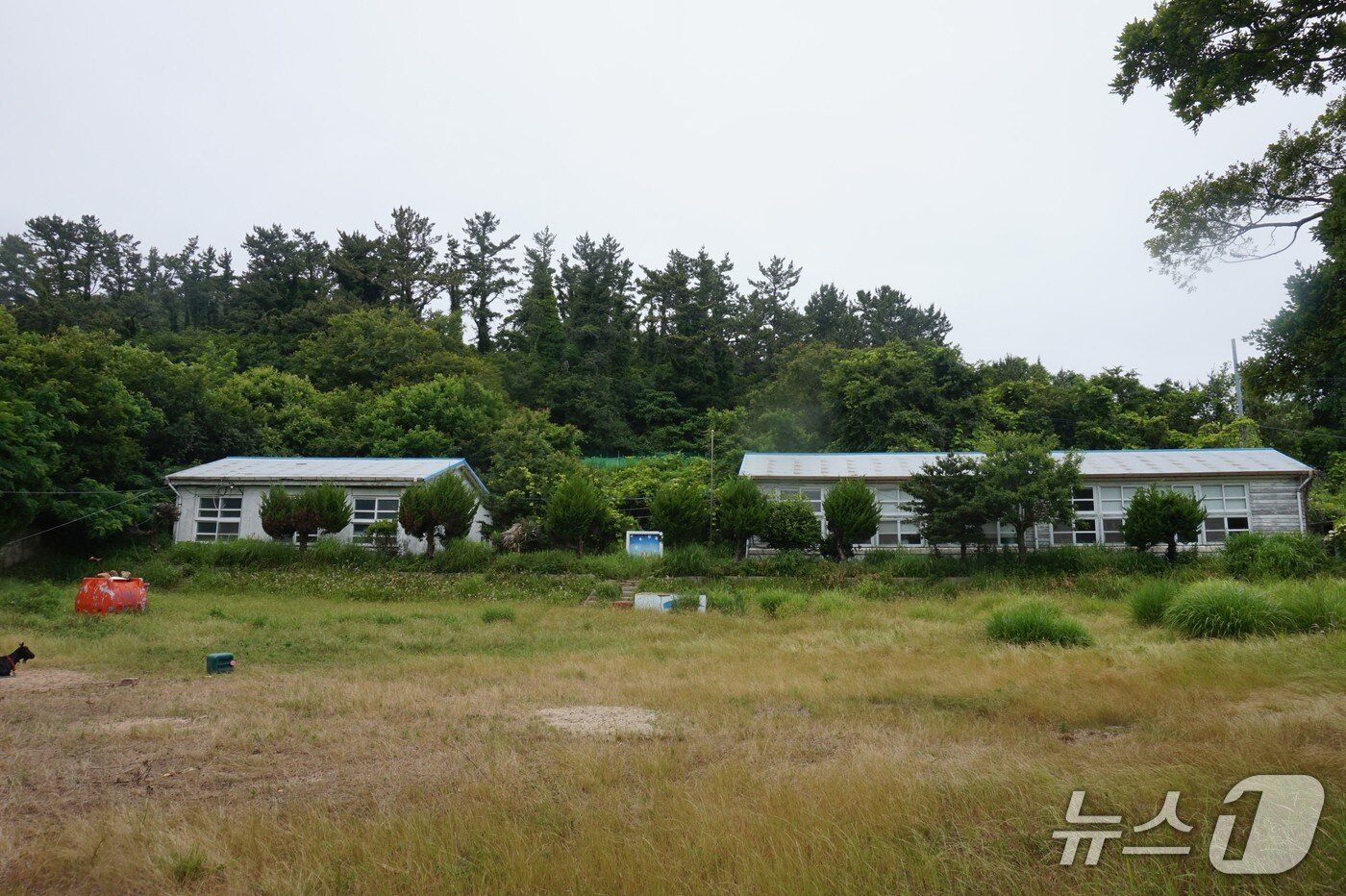 본문 이미지 -  조도초등학교 관사분교장 터.2025.6.27/뉴스1 ⓒ News1 조영석 기자