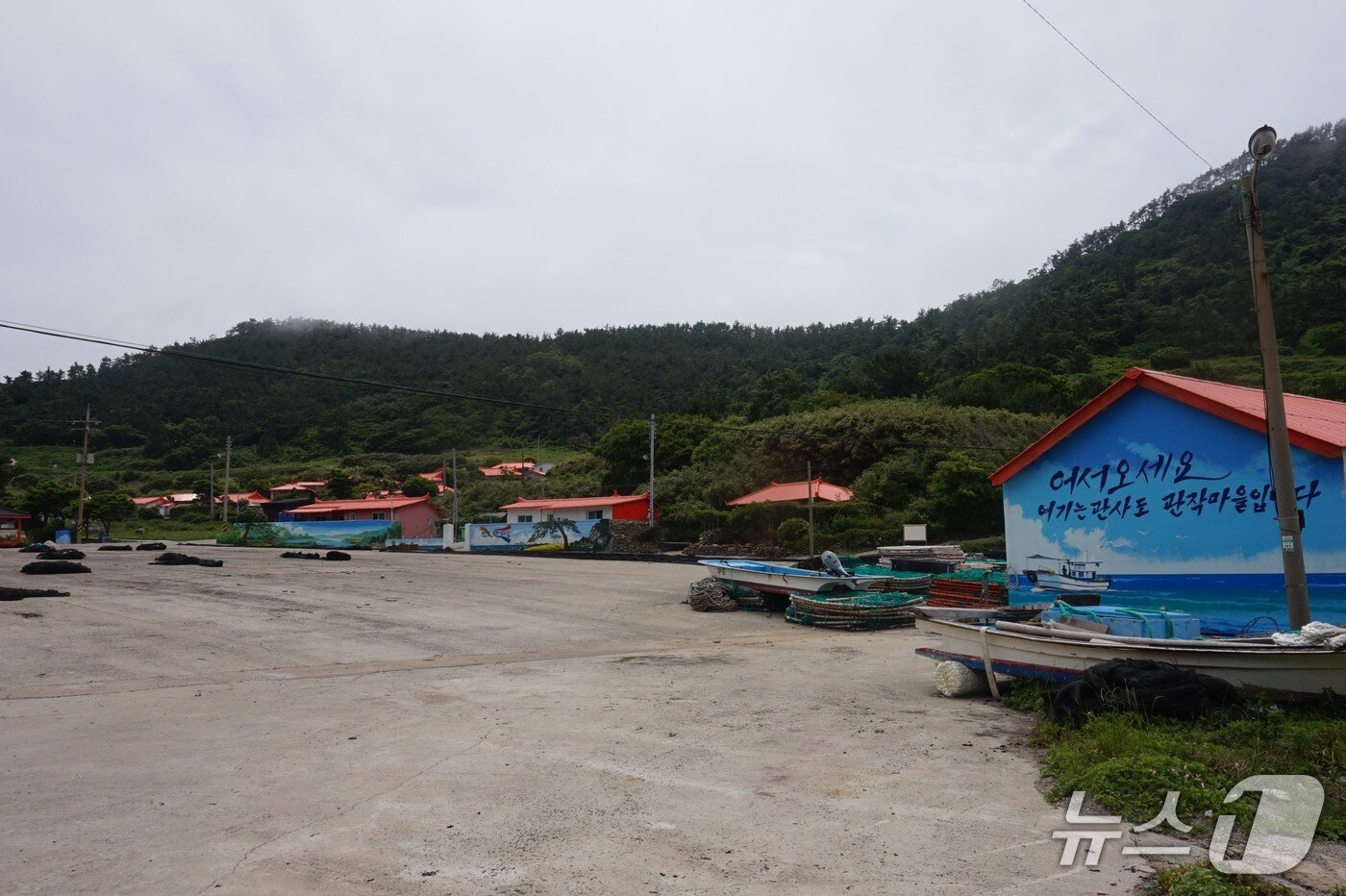 본문 이미지 - 관작리 초입. 2025.6.27/뉴스1 ⓒ News1 조영석 기자