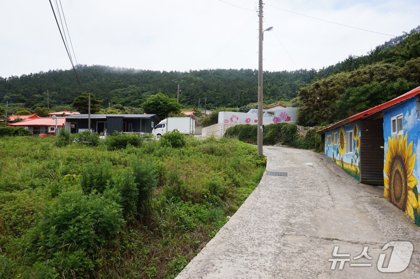 본문 이미지 - 관작리 마을 입구 풍경. 2025.6.27/뉴스1 ⓒ News1 조영석 기자 