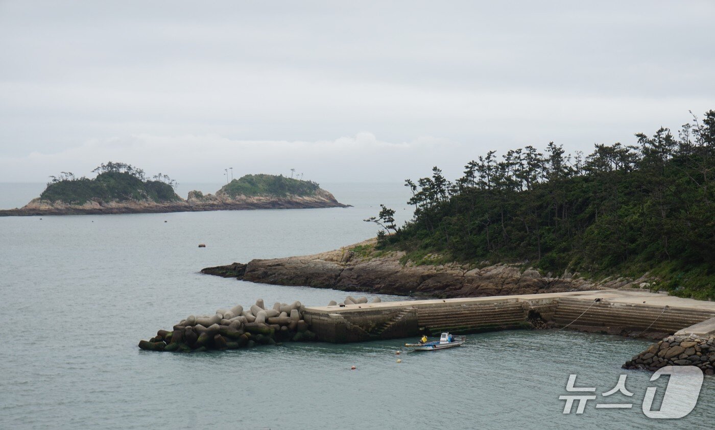 본문 이미지 - &#39;높은나리&#39; 벼랑 아래 선착장너머로 북섬이 자리하고 있다. 2025.6.27/뉴스1 ⓒ News1 조영석 기자 