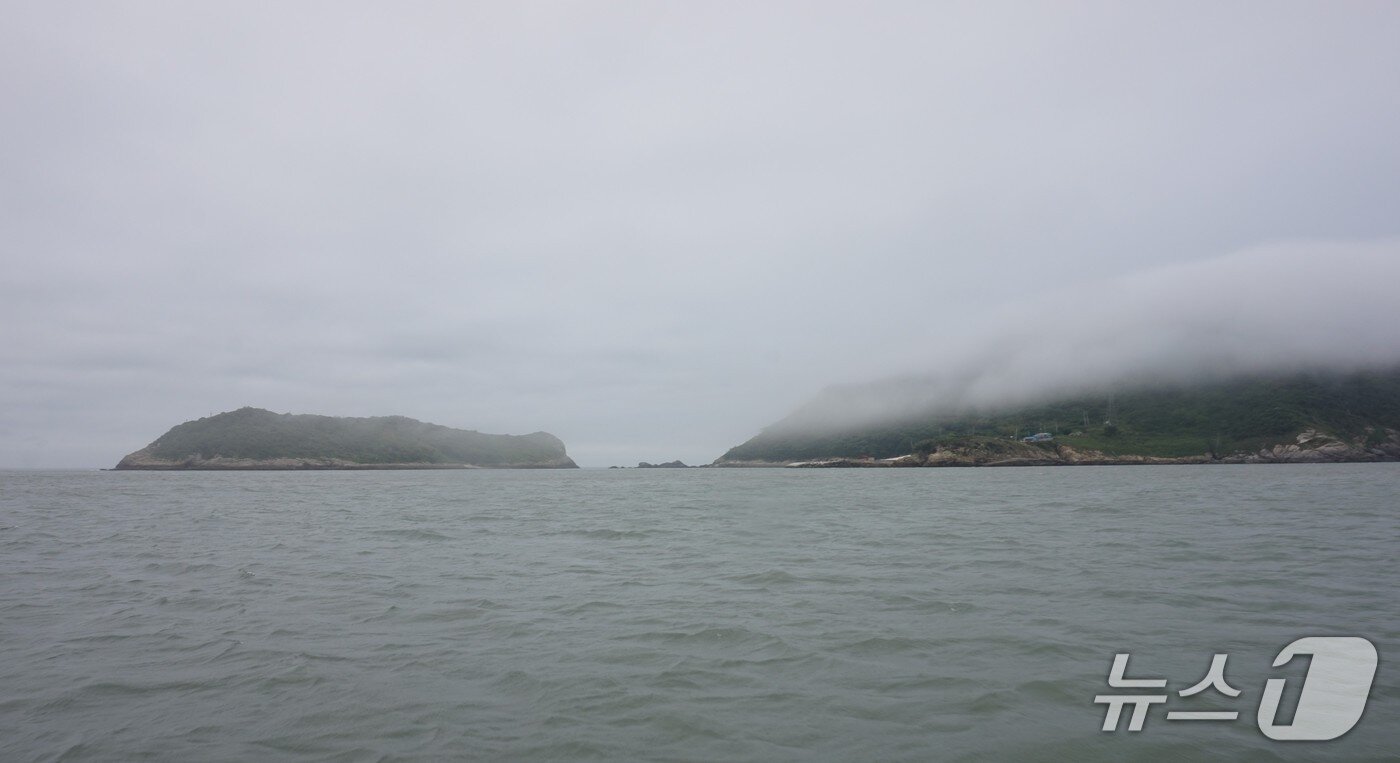 본문 이미지 - 진목도 부속섬인 갈목도&#40;오른쪽&#41;와 건너편의 무인도인 식나도. 2025.6.27/뉴스1 ⓒ News1 조영석 기자