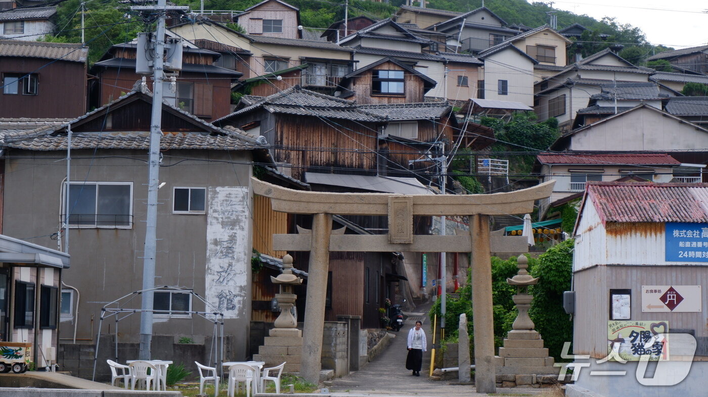 본문 이미지 - 오기지마 풍경ⓒ News1 윤슬빈 기자