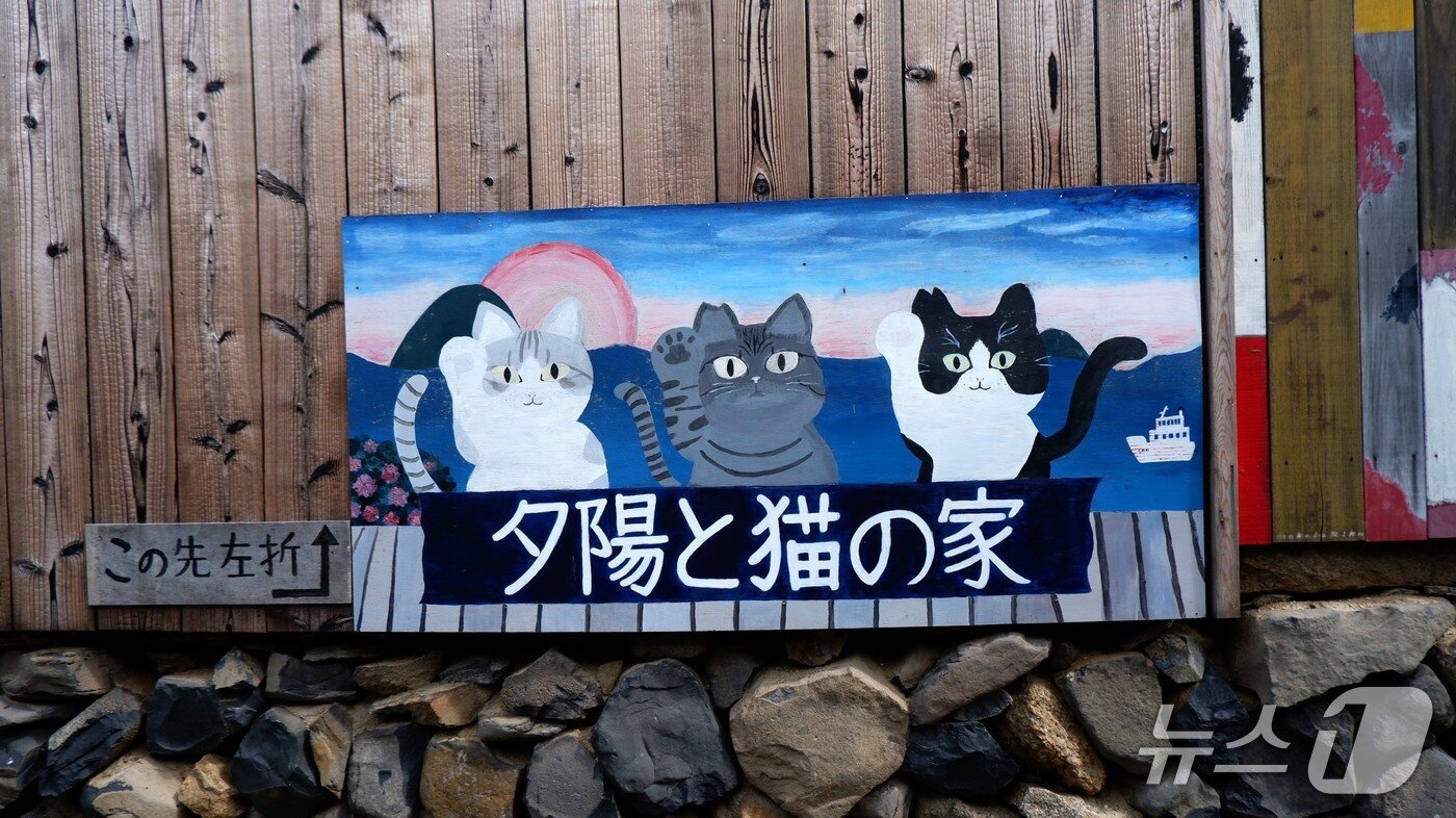 본문 이미지 - 오기지마는 고양이가 많아 고양이 섬으로도 불린다. ⓒ News1 윤슬빈 기자