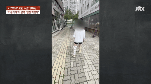 본문 이미지 - (JTBC '사건반장' 갈무리)