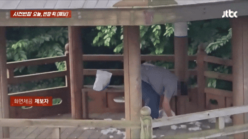 본문 이미지 - (JTBC '사건반장' 갈무리)