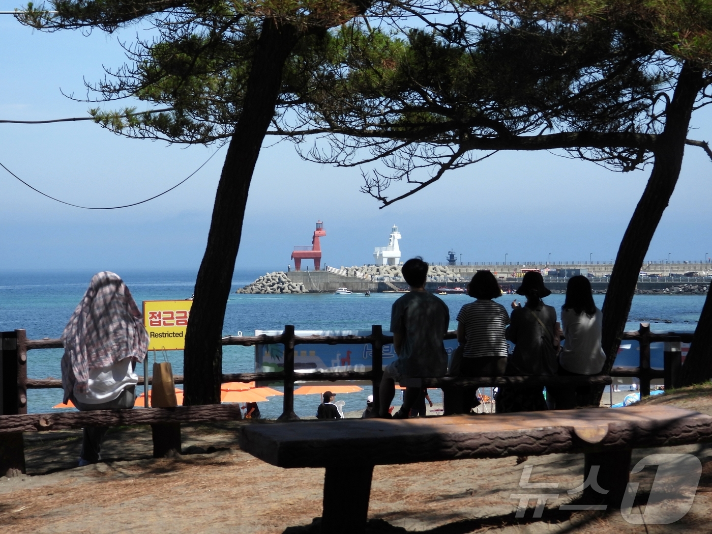 (제주=뉴스1) 홍수영 기자 = 제주도에 올해 첫 특염특보가 내린 28일 제주시 이호테우해수욕장 인근 소나무숲에서 사람들이 햇볕을 피하고 있다.2025.6.28/뉴스1