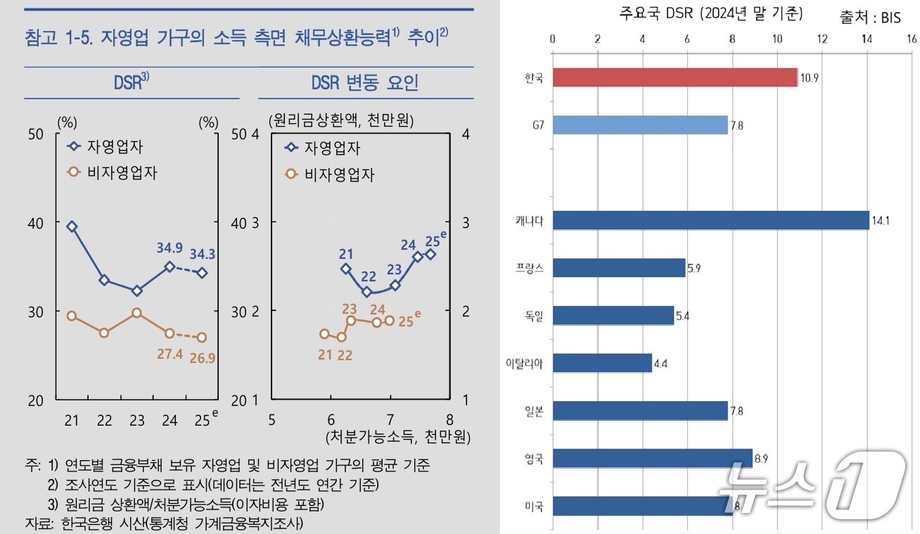 본문 이미지 - (좌측 : 한국은행 6월 금융안정보고서, 우측 : BIS Debt service ratios)