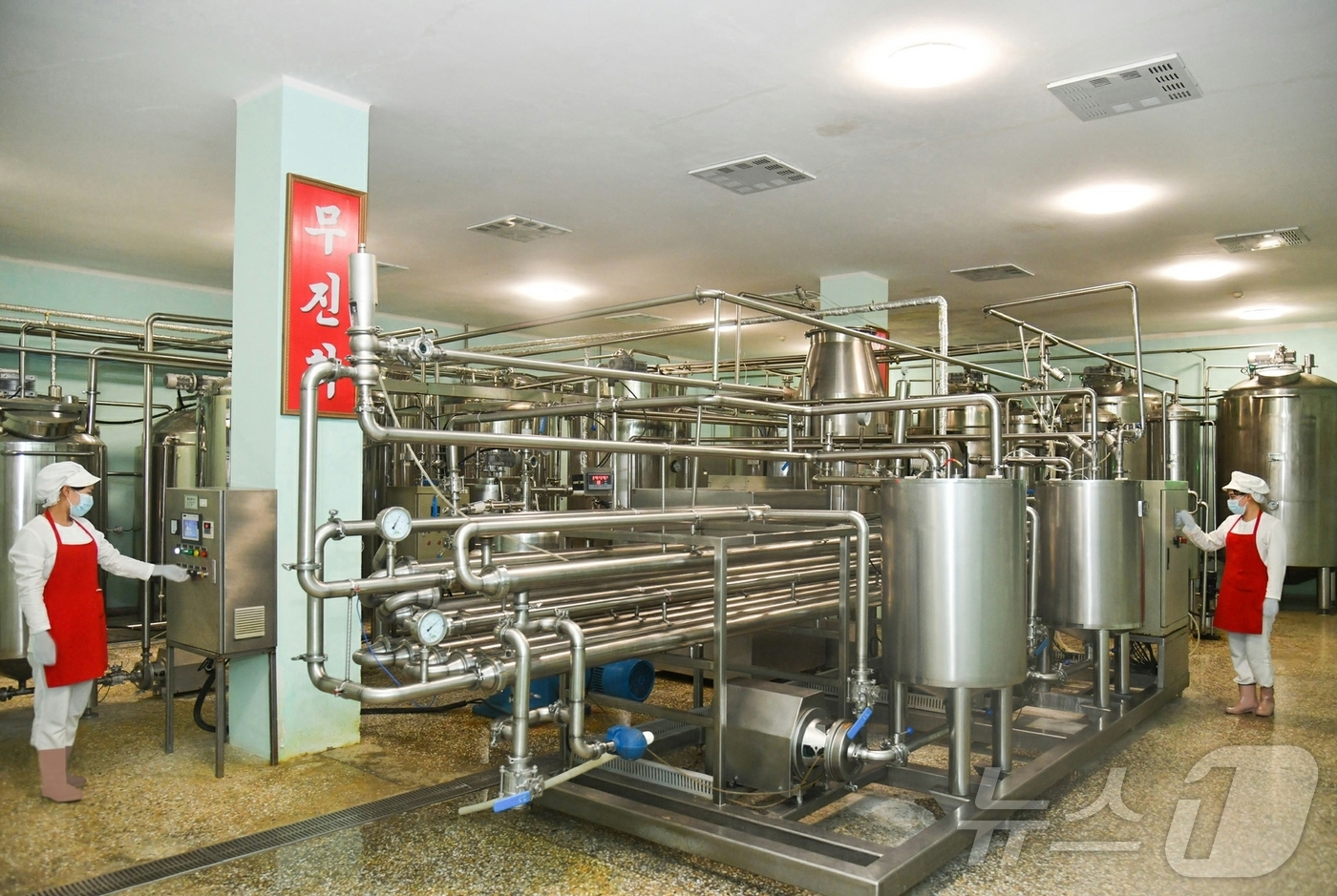 (평양 노동신문=뉴스1) = 북한 노동당 기관지 노동신문은 29일 강동군종합축산기지를 비롯한 평양시 안의 젖제품(유제품) 생산 토대가 부단히 확대 강화되면서 지난 시기에 비해 젖제 …