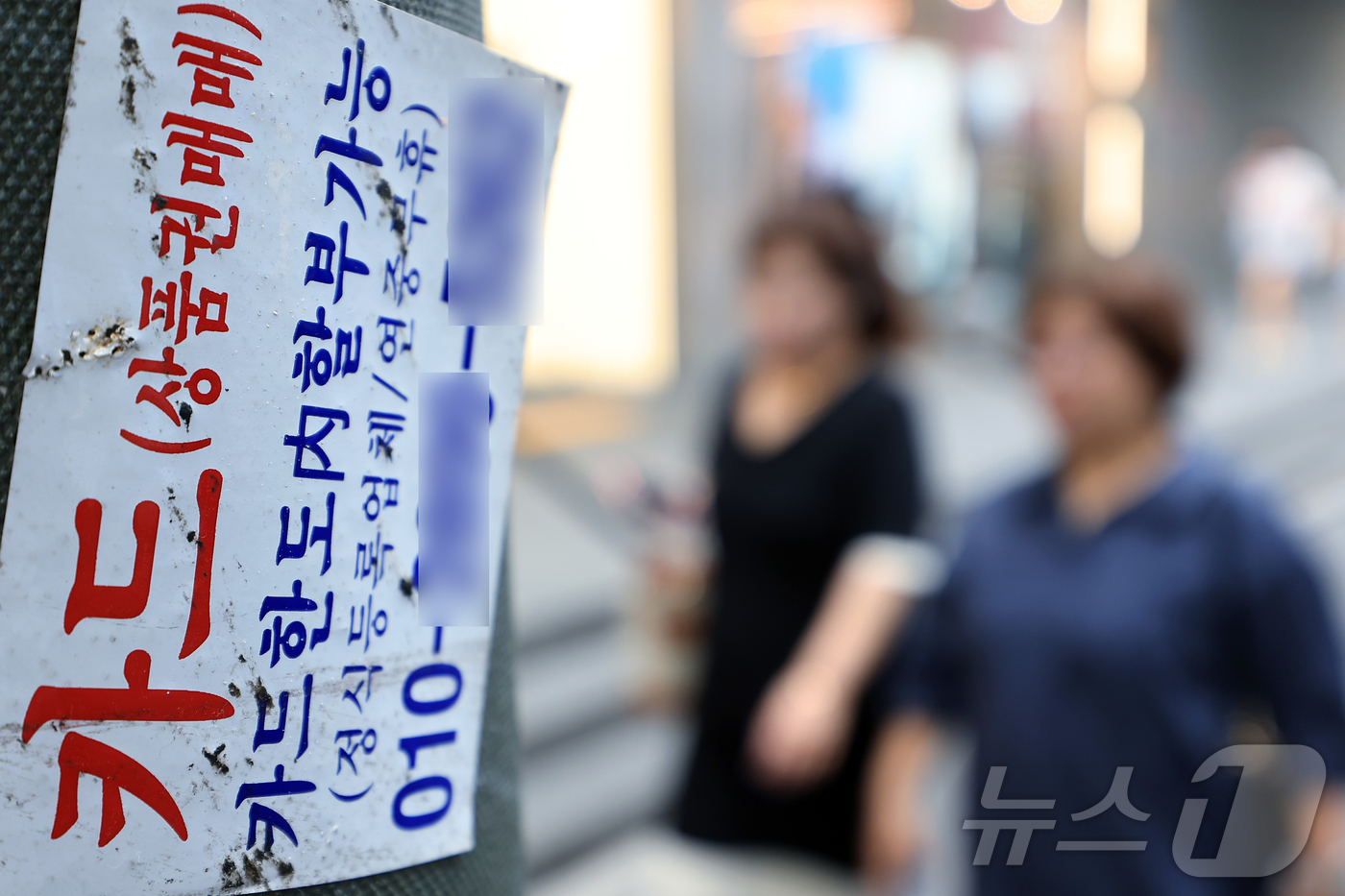 (서울=뉴스1) 박정호 기자 = 지난해 말 기준 국내 대부업 대출 잔액이 12조3348억 원으로 집계된 29일 서울 중구 명동 거리에 신용카드 대출 광고물이 곳곳에 붙어 있다.금융 …