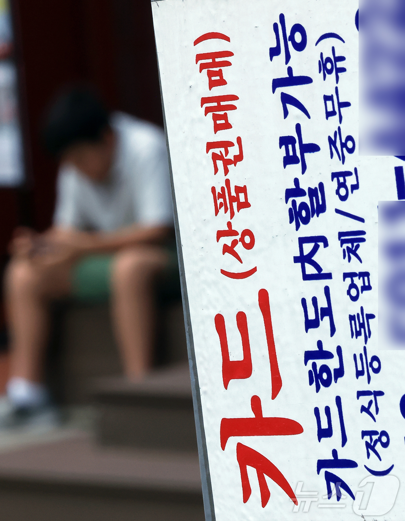 (서울=뉴스1) 박정호 기자 = 지난해 말 기준 국내 대부업 대출 잔액이 12조3348억 원으로 집계된 29일 서울 중구 명동 거리에 신용카드 대출 광고물이 곳곳에 붙어 있다.금융 …