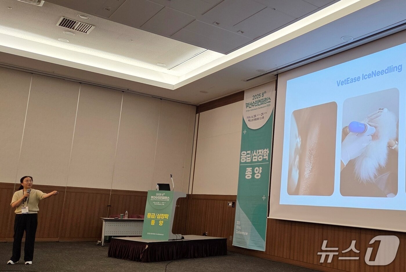 본문 이미지 - 이미경 고양이병원 소설 원장은 29일 부산 벡스코에서 열린 &#39;2025 부산수의컨퍼런스&#39;에서 벳이즈 치료 방법을 소개했다. ⓒ 뉴스1