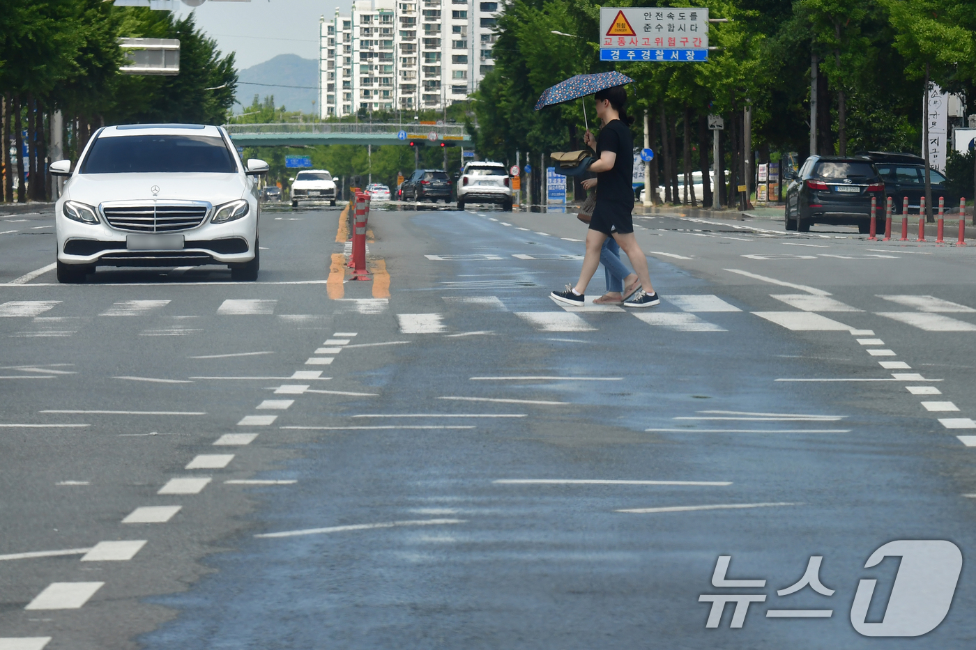 (경주=뉴스1) 최창호 기자 = 경북 경주시 전역에 폭염경보가 발령된 29일 오후 용강동 교차로에서 양산을 쓴 시민이 횡단보도를 건너가고 있다.이날 경주 지역 낮 최고 기온은 37 …