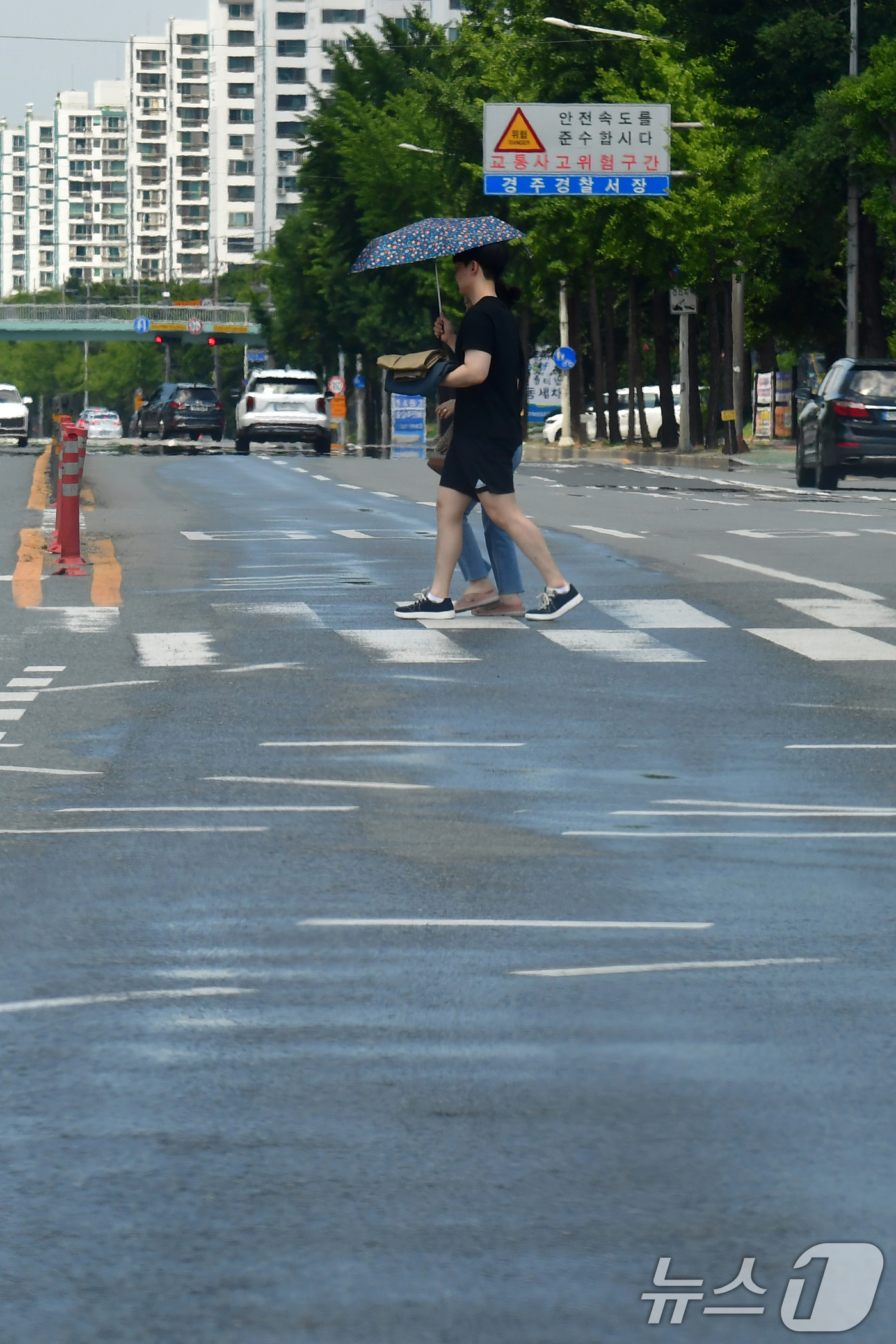 (경주=뉴스1) 최창호 기자 = 경북 경주시 전역에 폭염경보가 발령된 29일 오후 용강동 교차로에서 양산을 쓴 시민이 횡단보도를 건너가고 있다.이날 경주 지역 낮 최고 기온은 37 …