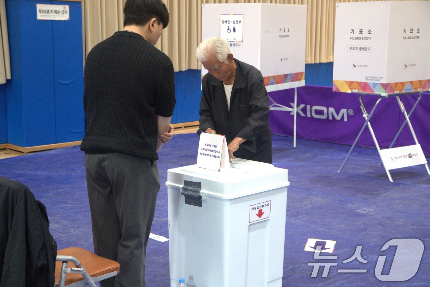 (안동=뉴스1) 신성훈 기자 = 3일 오전 7시쯤 경북 안동시 정하동 강남초등학교에 설치된 제 21대 대통령선거 강남 제2 투표소에 시민들의 투표 행렬이 이어지고 있다. 2025. …