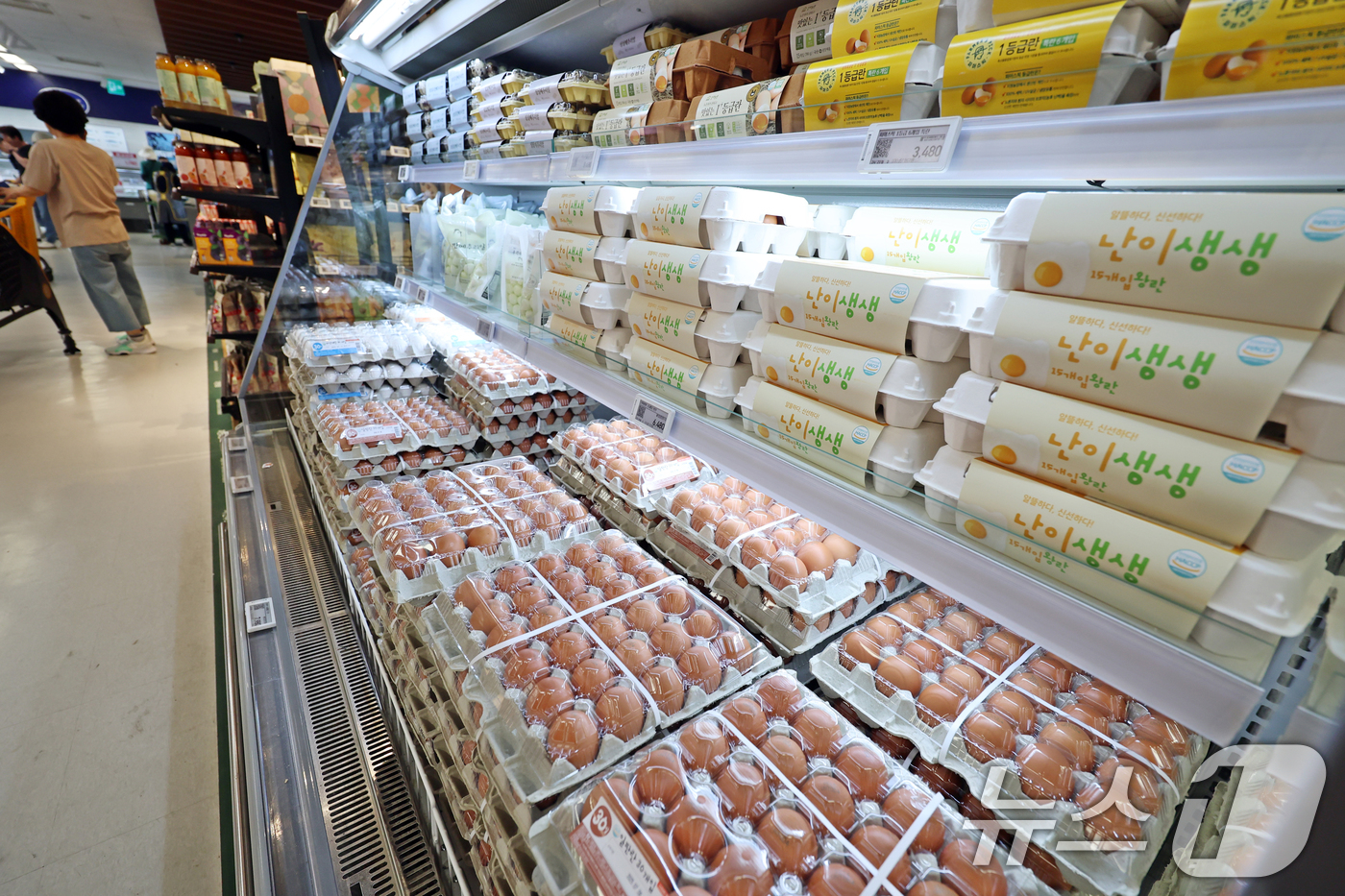 (서울=뉴스1) 황기선 기자 = 3일 서울시내 한 대형마트에 계란이 진열돼 있다.축산물품질평가원 축산유통정보에 따르면 지난달 30일 기준 계란 특란 한 판(30구)의 도매가는 60 …