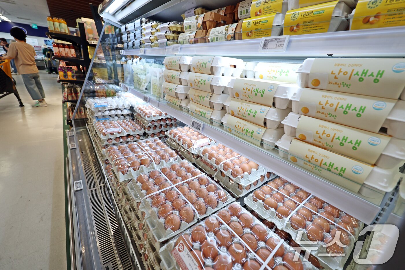 본문 이미지 - 지난 3일 서울시내 한 대형마트에 계란이 진열돼 있다.   2025.6.3/뉴스1 ⓒ News1 황기선 기자