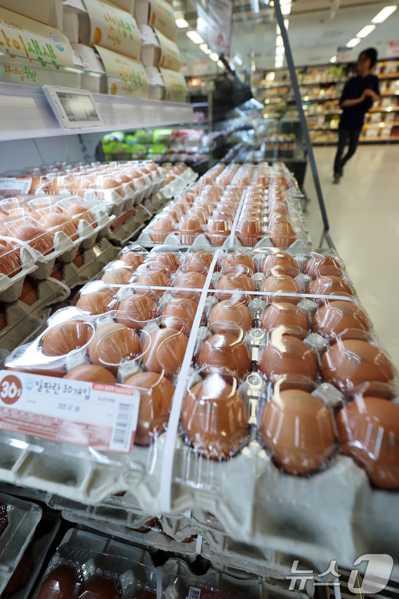 (서울=뉴스1) 황기선 기자 = 3일 서울시내 한 대형마트에 계란이 진열돼 있다.축산물품질평가원 축산유통정보에 따르면 지난달 30일 기준 계란 특란 한 판(30구)의 도매가는 60 …