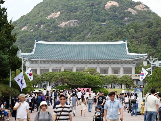 [뉴스1 PICK]'지금 아니면 다시는 못 볼수도'…시민 발길 늘어난 청와대