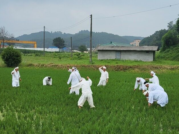 충주 신니면서 마수리 농요 재현 행사…무형문화재 재지정 도전