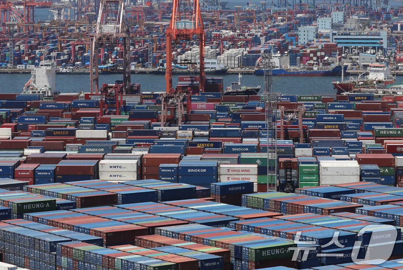본문 이미지 - 30일 부산항 신선대부두와 감만부두 야적장에 컨테이너가 가득 쌓여 있다.  2025.6.30/뉴스1 ⓒ News1 윤일지 기자