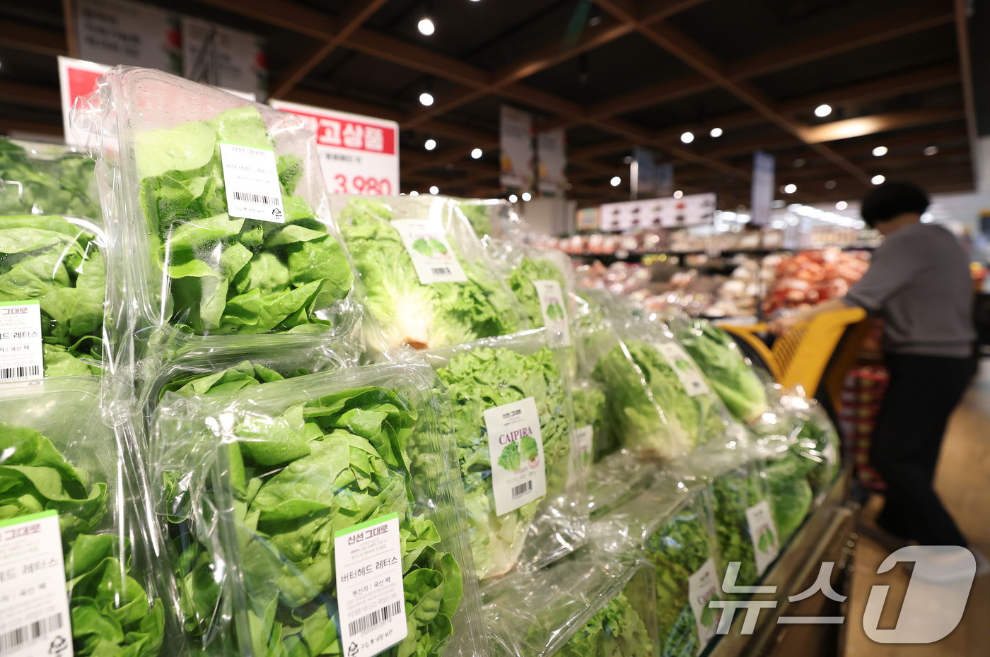 (서울=뉴스1) 오대일 기자 = 고물가가 이어지는 가운데 장마와 폭염으로 채소류 가격의 오름세가 가파르다.29일 한국농수산식품유통공사(aT) 농산물 유통정보에 따르면 이달 26일 …