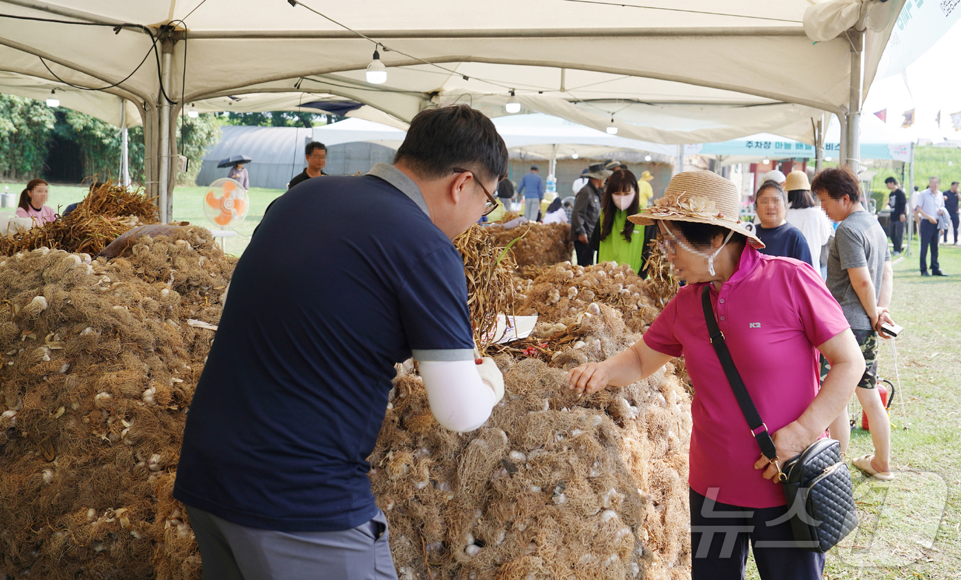 (서산=뉴스1) 이동원 기자 = 충남 서산시는 지난 6월 27일부터 29일까지 3일간 개최된 ‘제16회 서산6쪽마늘축제’가 성황리에 마무리됐다고 밝혔다.시에 따르면, 이번 축제 기 …