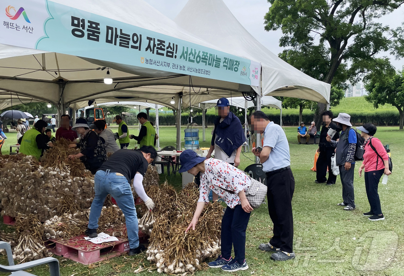 (서산=뉴스1) 이동원 기자 = 충남 서산시는 지난 6월 27일부터 29일까지 3일간 개최된 ‘제16회 서산6쪽마늘축제’가 성황리에 마무리됐다고 밝혔다.시에 따르면, 이번 축제 기 …