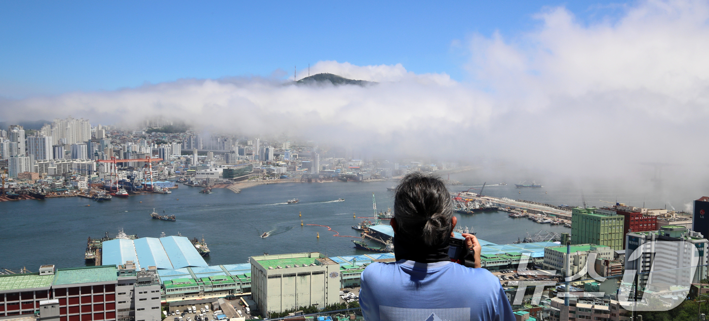 (부산=뉴스1) 윤일지 기자 = 부산에 올해 첫 폭염경보가 발효된 30일 부산 영도구 봉래산 일대에 짙은 해무(바다 안개)가 뒤덮여 이색적인 풍경을 연출하고 있다.  2025.6. …