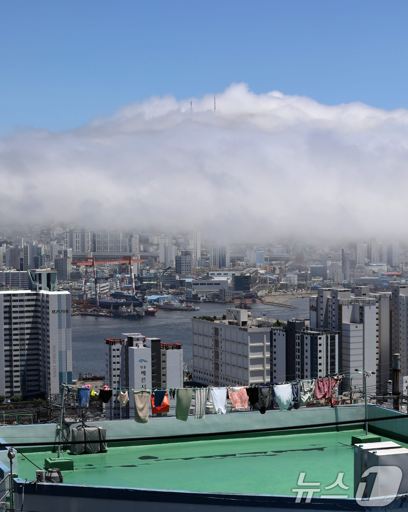 (부산=뉴스1) 윤일지 기자 = 부산에 올해 첫 폭염경보가 발효된 30일 부산 영도구 봉래산 일대에 짙은 해무(바다 안개)가 뒤덮여 이색적인 풍경을 연출하고 있다.  2025.6. …