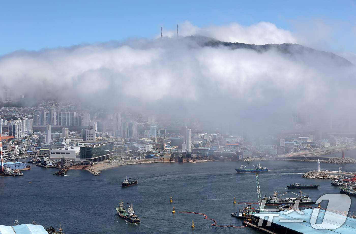 (부산=뉴스1) 윤일지 기자 = 부산에 올해 첫 폭염경보가 발효된 30일 부산 영도구 봉래산 일대에 짙은 해무(바다 안개)가 뒤덮여 이색적인 풍경을 연출하고 있다.  2025.6. …