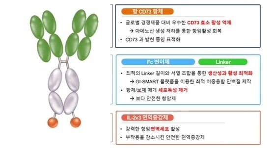 본문 이미지 -  GI-108 단백질 구조 그림. &#40;지아이이노베이션 제공&#41;