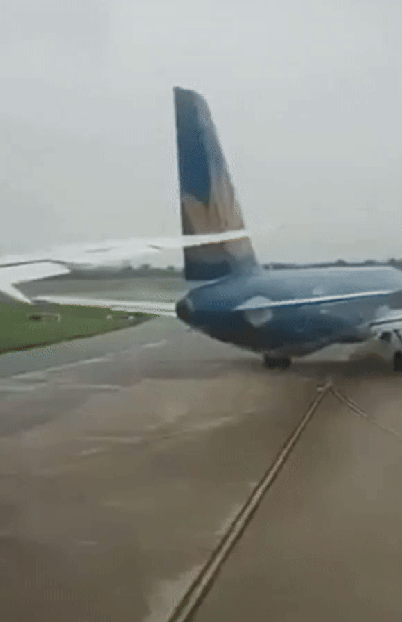 본문 이미지 - &#40;VN익스프레스 갈무리&#41; /뉴스1