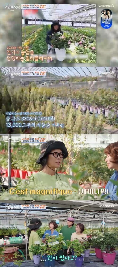 본문 이미지 - 채널A '4인용식탁' 캡처