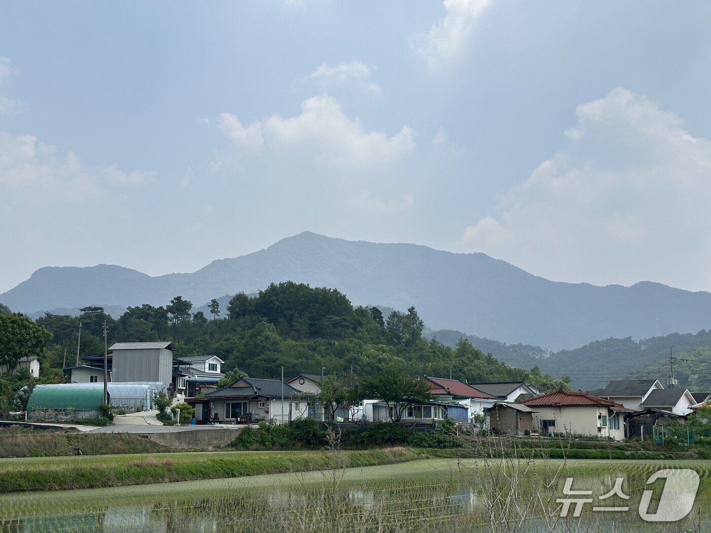 본문 이미지 -  충주 산척면 대소강마을 뒤로 천등산이 보이고 있다.&#40;자료사진&#41;/뉴스1 