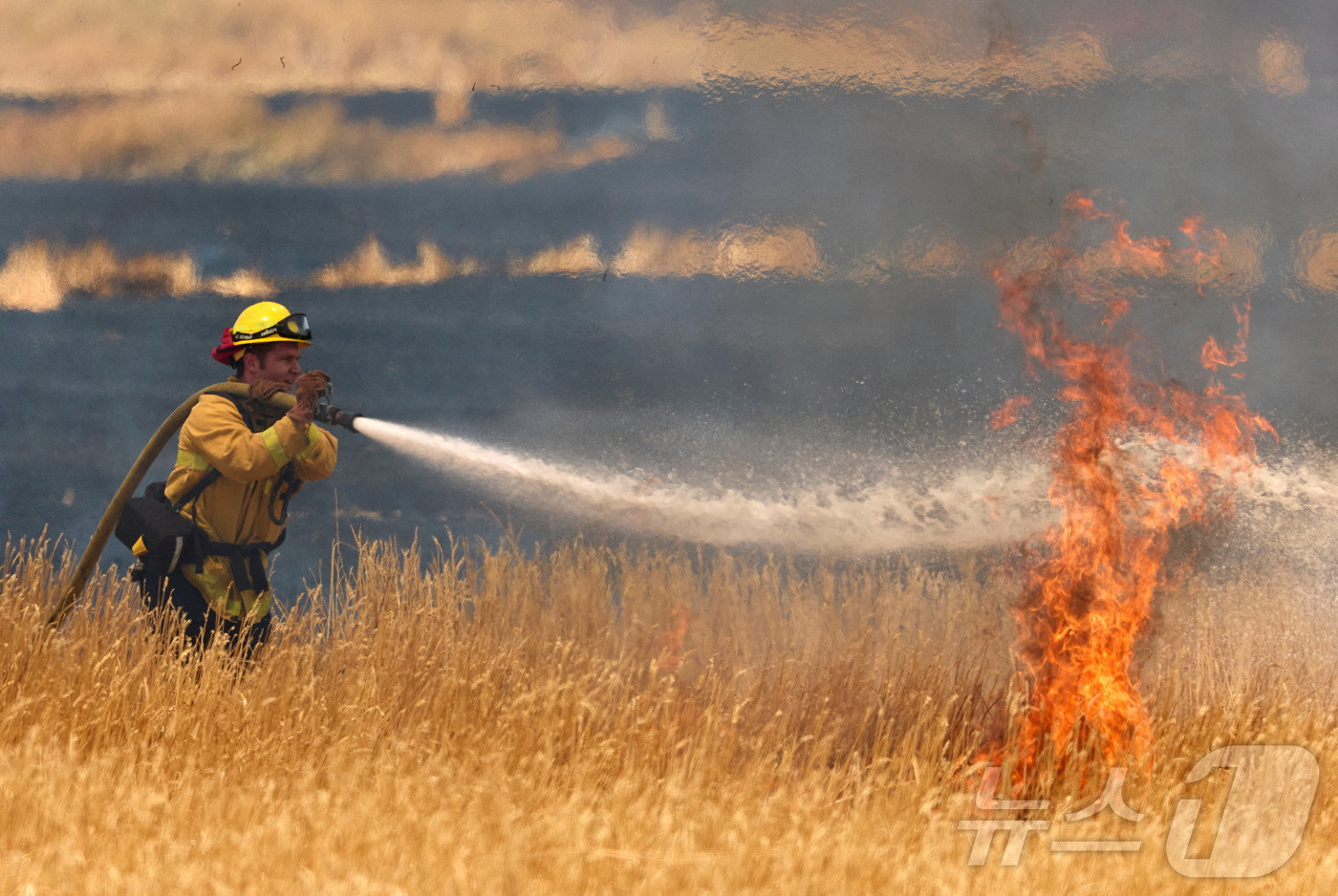 (우드랜드 로이터=뉴스1) 최종일 선임기자 = 3일(현지시간) 미국 캘리포니아 우드랜드에서 한 소방관이 덤불 화재에 대응하고 있다. 2025.06.03ⓒ 로이터=뉴스1