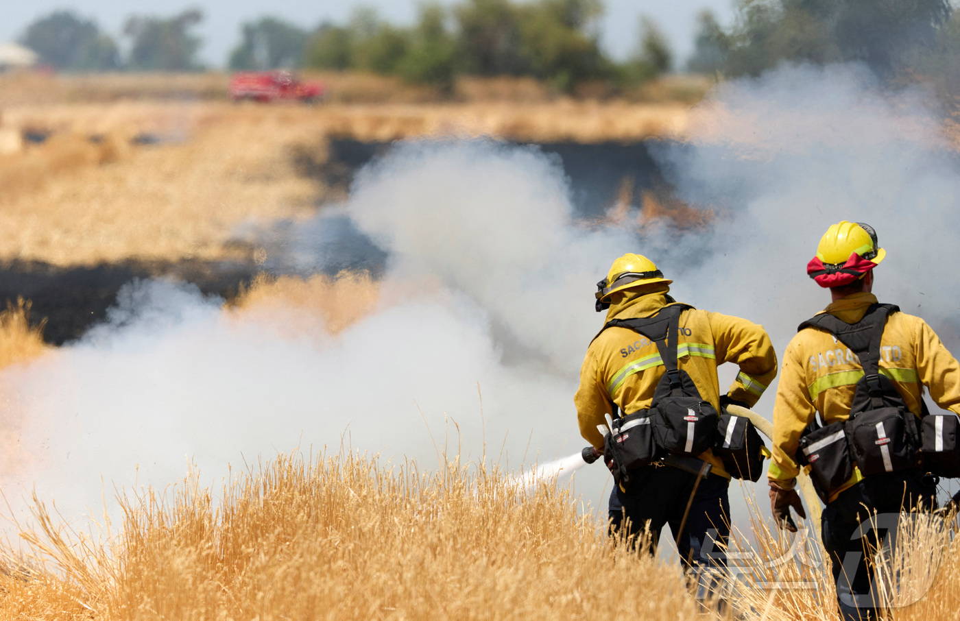 (우드랜드 로이터=뉴스1) 최종일 선임기자 = 3일(현지시간) 미국 캘리포니아 우드랜드에서 한 소방관이 덤불 화재에 대응하고 있다. 2025.06.03ⓒ 로이터=뉴스1