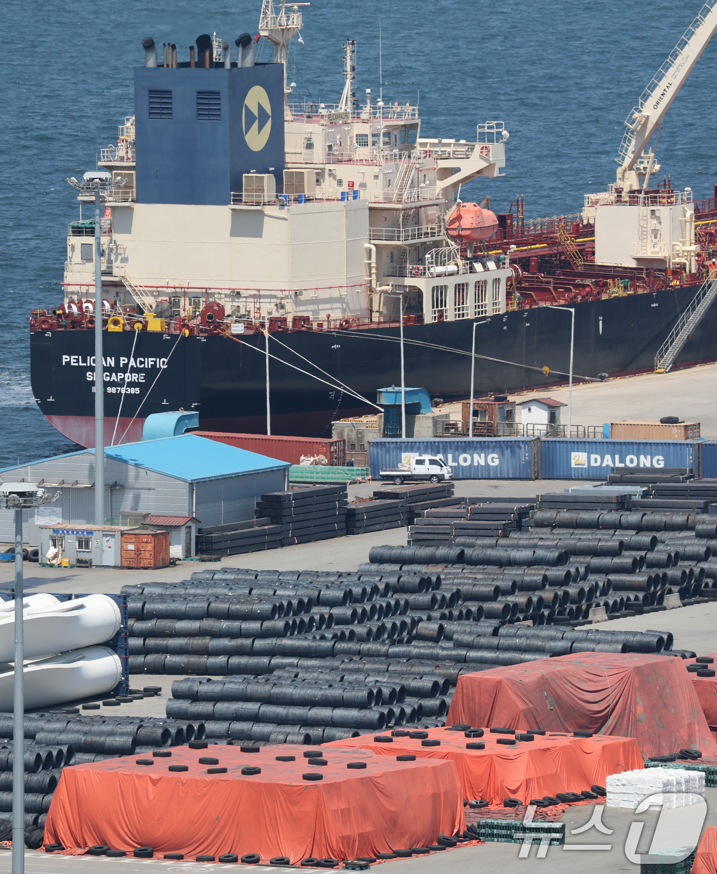 (평택=뉴스1) 김영운 기자 = 트럼프 대통령은 3일(현지시간) 철강 및 알루미늄에 대한 관세를 25%에서 50%로 상향하는 포고문에 서명했다.이에 따라 미국 동부 표준시 기준 4 …