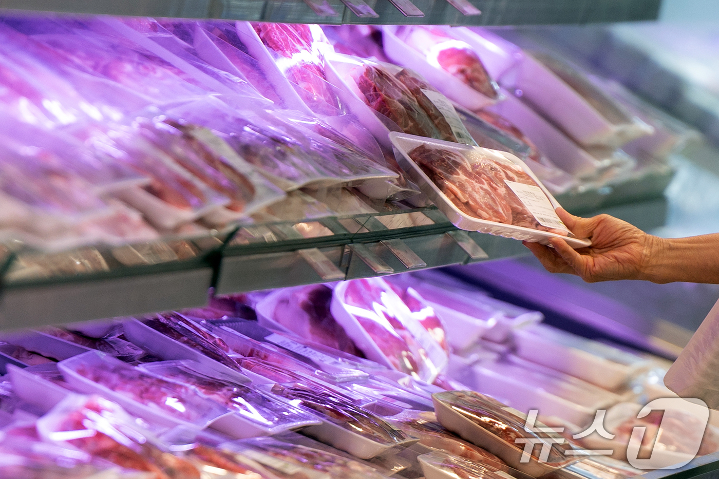 (서울=뉴스1) 이승배 기자 = 통계청이 4일 발표한 '2025 5월 소비자물가동향'에 따르면 지난달 소비자물가지수는 116.27(2020=100)로, 전년 동월보다 1.9% 상승 …