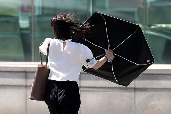 울산 전역에 강풍주의보…"시설물 관리 유의"
