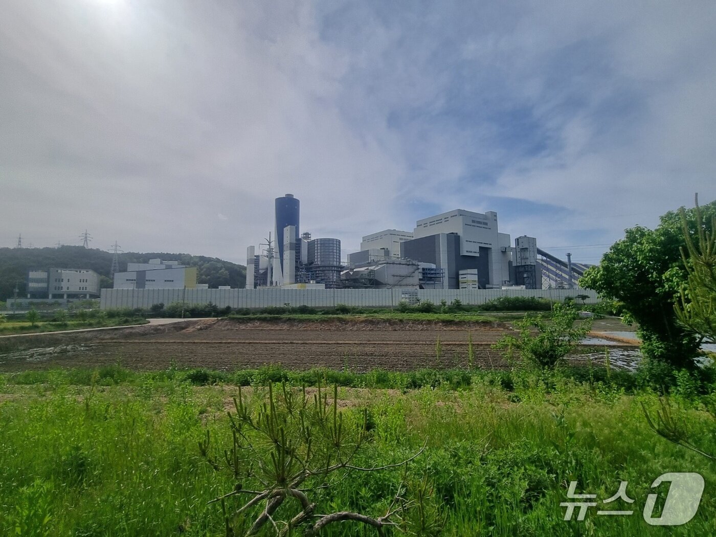본문 이미지 - 강원 강릉에코파워.&#40;안인화력발전소·뉴스1 DB&#41;