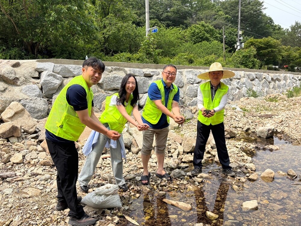 본문 이미지 - 푸른환경실천협의회와 대승불교 양우종 회원들이 하천에 다슬기를 방류하고 있다. 사진=푸른환경실천협의회 제공