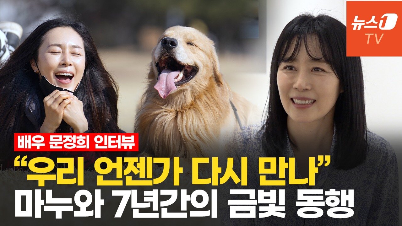 본문 이미지 - 문정희 배우와 김원범 작가의 반려견 마누 사진전 &#39;금빛동행&#39; 인터뷰 ⓒ 뉴스1