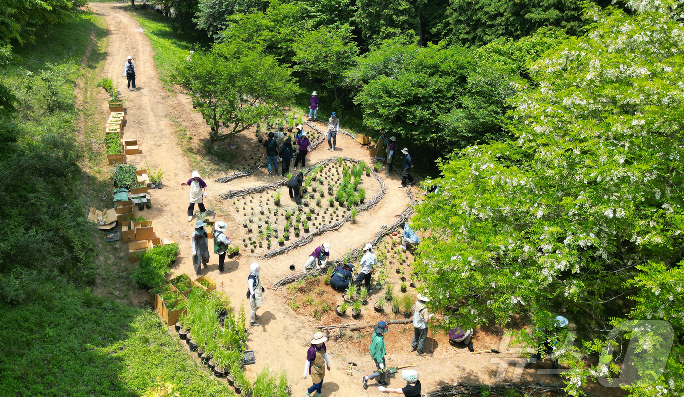 (대전=뉴스1) 이동원 기자 = 충남도 산림자원연구소는 중부대 원격대학원과 함께 지난달 5월 31일부터 지난 1일까지 태안사무소 안면도지방정원에서 ‘탄소중립 실천형 정원 식재 실습 …
