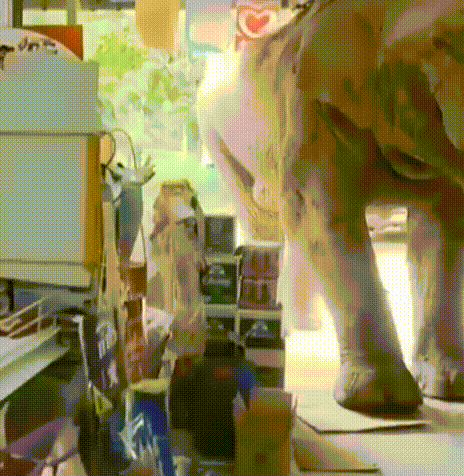 본문 이미지 - 출처=소셜미디어 엑스