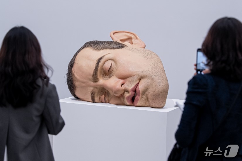 (서울=뉴스1) = 국립현대미술관은 '론 뮤익' 전시가 개막 두 달도 채 안된 50여 일만에 누적관람객 수 30만 명을 넘어섰다고 5일 밝혔다.관람객들이 '론 뮤익' 전시를 관람하 …