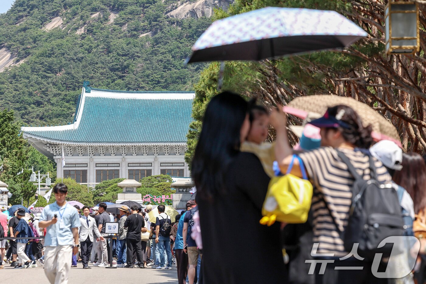 본문 이미지 - 이재명 대통령이 집무실을 청와대로 이전할 방침인 가운데 5일 서울 종로구 청와대 경내가 관람객들로 붐비고 있다. 2025.6.5/뉴스1 ⓒ News1 민경석 기자