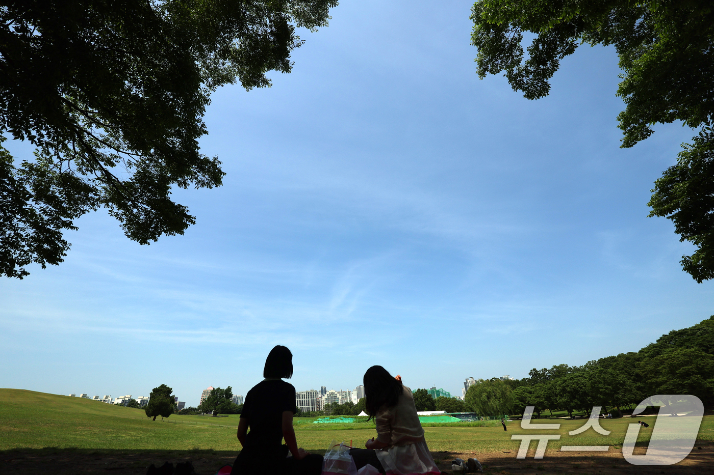 (서울=뉴스1) 황기선 기자 = 환경의 날이자 절기상 망종(芒種)인 5일 오후 서울 송파구 올림픽공원'에서 시민이 피크닉을 즐기고 있다. 2025.6.5/뉴스1