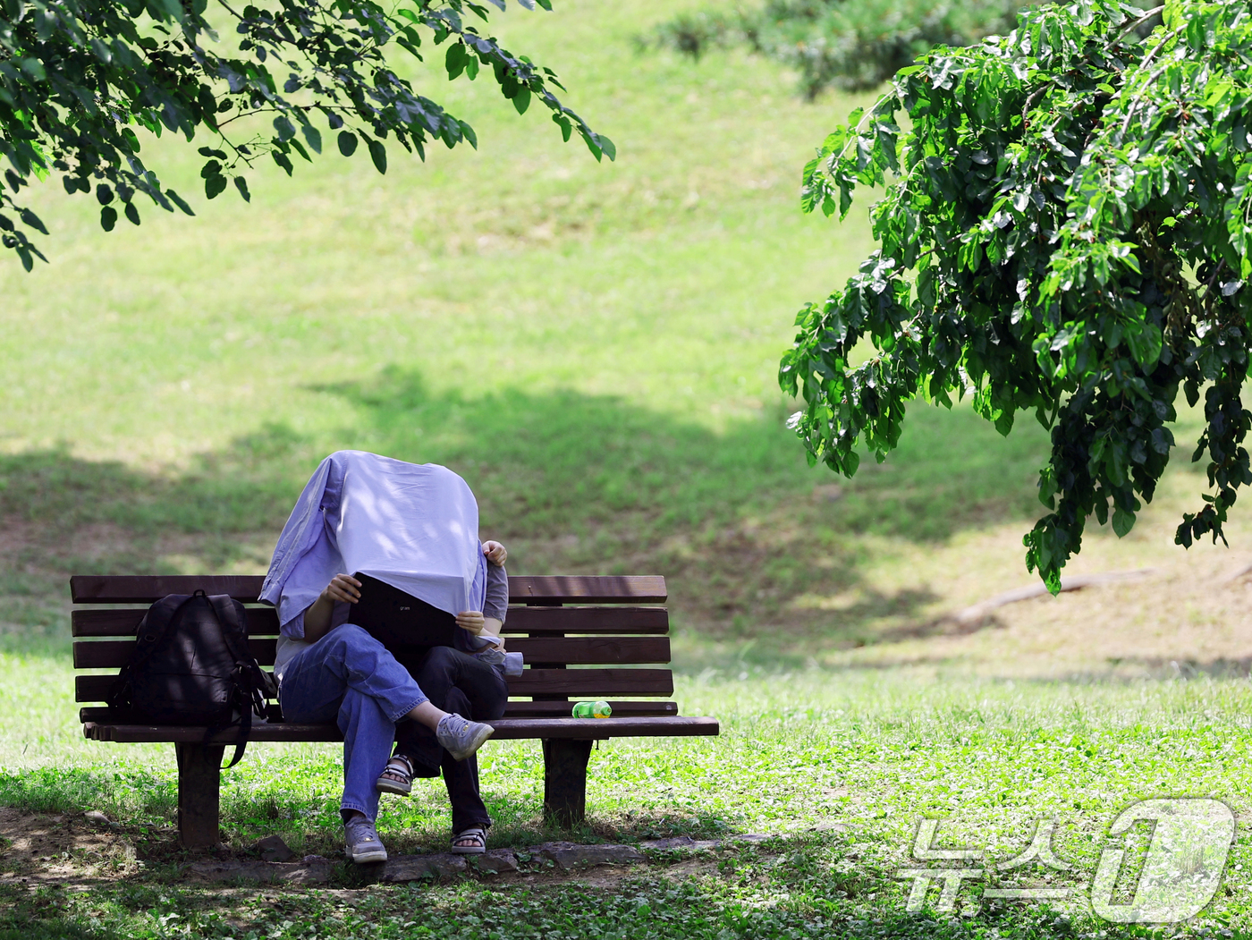 (서울=뉴스1) 황기선 기자 = 환경의 날이자 절기상 망종(芒種)인 5일 오후 서울 송파구 올림픽공원'에서 시민이 노트북 차광막을 활용해 영화를 보고 있다.  2025.6.5/뉴스 …
