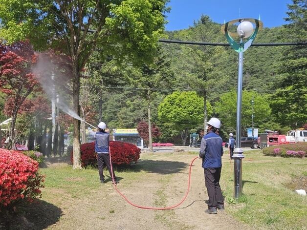 보은군 산림병해충 대책본부 운영…8월 31일까지